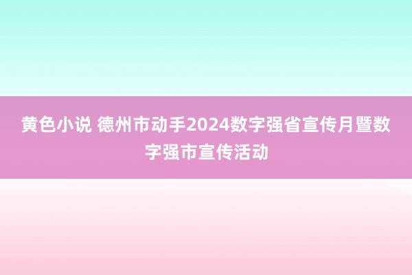 黄色小说 德州市动手2024数字强省宣传月暨数字强市宣传活动