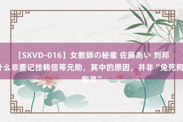 【SXVD-016】女教師の秘蜜 佐藤あい 刘邦为什么非要记挂韩信等元勋，其中的原因，并非“兔死狗烹”