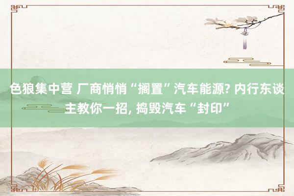 色狼集中营 厂商悄悄“搁置”汽车能源? 内行东谈主教你一招, 捣毁汽车“封印”