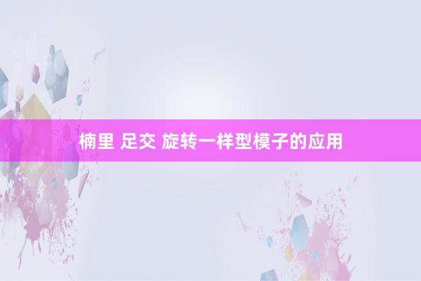 楠里 足交 旋转一样型模子的应用