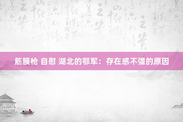 筋膜枪 自慰 湖北的鄂军：存在感不彊的原因
