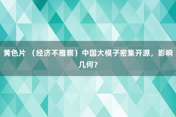 黄色片 （经济不雅察）中国大模子密集开源，影响几何？