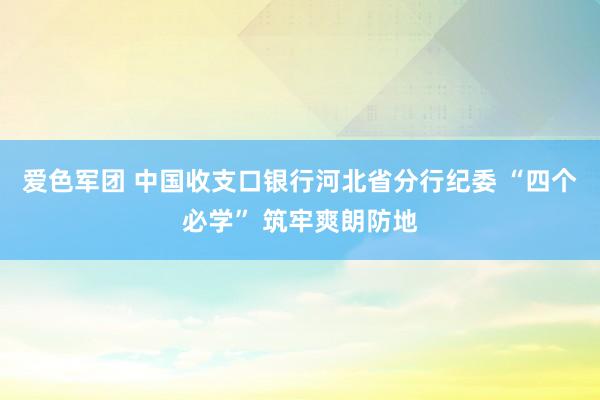 爱色军团 中国收支口银行河北省分行纪委 “四个必学” 筑牢爽朗防地