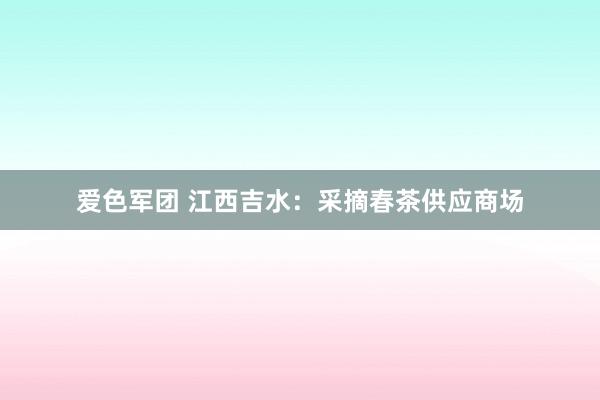 爱色军团 江西吉水：采摘春茶供应商场