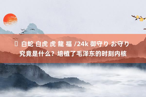 ✨白蛇 白虎 虎 龍 福 /24k 御守り お守り 究竟是什么？培植了毛泽东的时刻内核