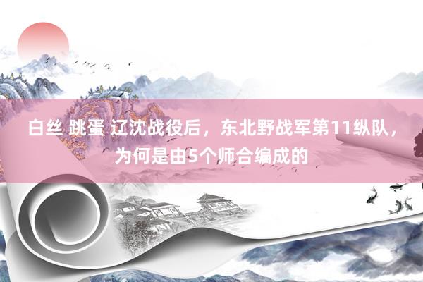 白丝 跳蛋 辽沈战役后，东北野战军第11纵队，为何是由5个师合编成的