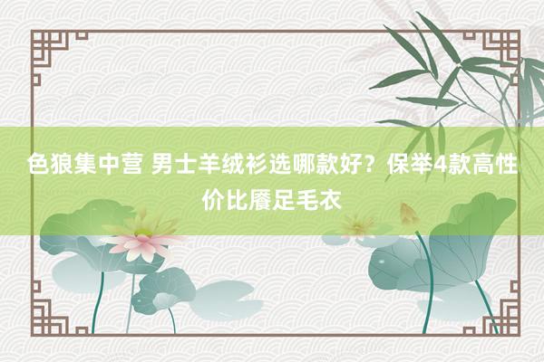 色狼集中营 男士羊绒衫选哪款好？保举4款高性价比餍足毛衣