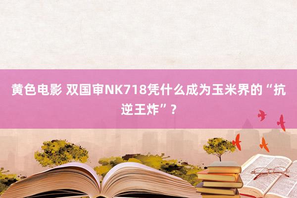 黄色电影 双国审NK718凭什么成为玉米界的“抗逆王炸”？
