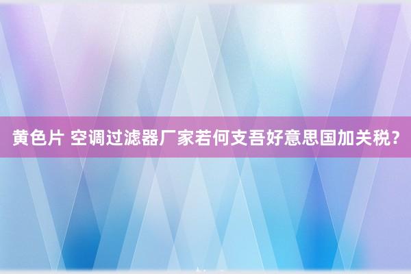 黄色片 空调过滤器厂家若何支吾好意思国加关税？