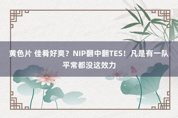黄色片 佳肴好爽？NIP翻中翻TES！凡是有一队平常都没这效力