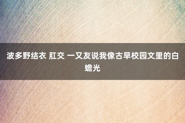 波多野结衣 肛交 一又友说我像古早校园文里的白蟾光