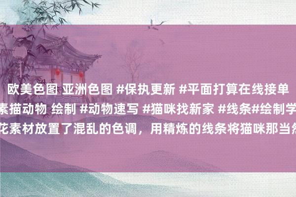 欧美色图 亚洲色图 #保执更新 #平面打算在线接单 #画猫 #动物速写 #素描动物 绘制 #动物速写 #猫咪找新家 #线条#绘制学习 #插花素材放置了混乱的色调，用精炼的线条将猫咪那当然且随心的蓦然定格。在这口舌交...