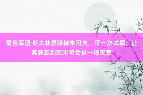 爱色军团 斯大林想除掉朱可夫，可一次试探，让其意志到效果将会是一场灾荒
